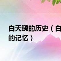 白天鹅的历史（白天鹅的记忆）