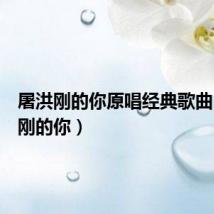 屠洪刚的你原唱经典歌曲(屠洪刚的你)