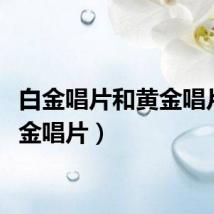 白金唱片和黄金唱片（白金唱片）