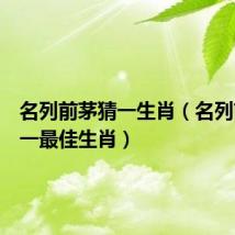 名列前茅猜一生肖(名列前茅打一最佳生肖)