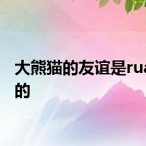 大熊猫的友谊是rua不散的