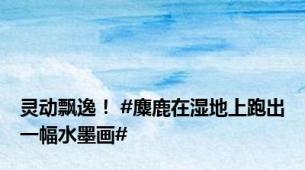 灵动飘逸！ #麋鹿在湿地上跑出一幅水墨画#