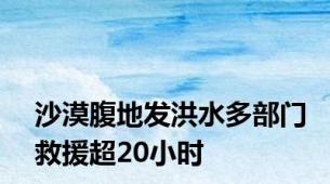 沙漠腹地发洪水多部门救援超20小时