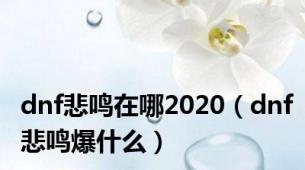 dnf悲鸣在哪2020（dnf悲鸣爆什么）
