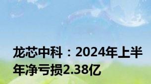 龙芯中科：2024年上半年净亏损2.38亿