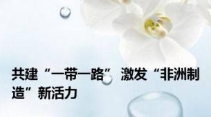 共建“一带一路” 激发“非洲制造”新活力