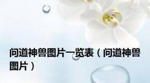 问道神兽图片一览表（问道神兽图片）