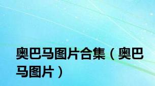 奥巴马图片合集（奥巴马图片）