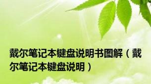 戴尔笔记本键盘说明书图解（戴尔笔记本键盘说明）