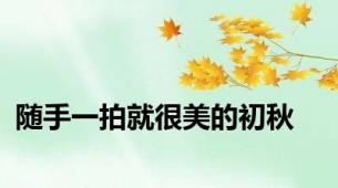 随手一拍就很美的初秋