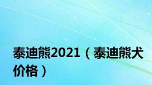 泰迪熊2021（泰迪熊犬价格）
