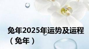 兔年2025年运势及运程（兔年）