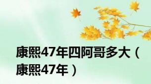 康熙47年四阿哥多大（康熙47年）