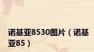诺基亚8530图片（诺基亚85）