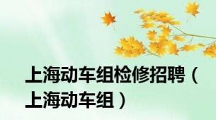 上海动车组检修招聘（上海动车组）