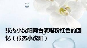 张杰小沈阳同台演唱粉红色的回忆（张杰小沈阳）