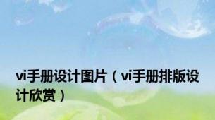 vi手册设计图片（vi手册排版设计欣赏）