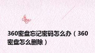 360密盘忘记密码怎么办（360密盘怎么删除）