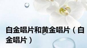 白金唱片和黄金唱片（白金唱片）