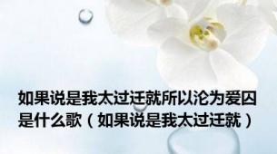 如果说是我太过迁就所以沦为爱囚是什么歌（如果说是我太过迁就）