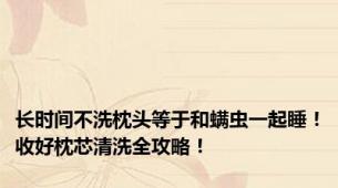 长时间不洗枕头等于和螨虫一起睡！收好枕芯清洗全攻略！