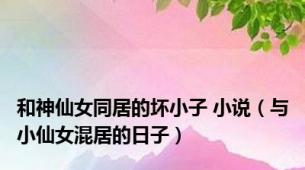 和神仙女同居的坏小子 小说（与小仙女混居的日子）