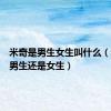 米奇是男生女生叫什么（米奇是男生还是女生）