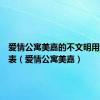 爱情公寓美嘉的不文明用语词汇表（爱情公寓美嘉）