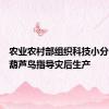 农业农村部组织科技小分队赶赴葫芦岛指导灾后生产