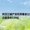 武汉江城产业投资基金公司成立 注册资本120亿