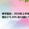 神宇股份：2024年上半年净利润增长175.19% 拟10派0.7元