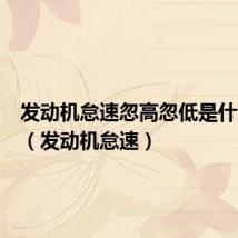 发动机怠速忽高忽低是什么原因(发动机怠速)