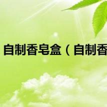 自制香皂盒（自制香皂）