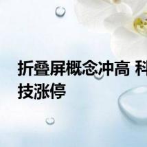 折叠屏概念冲高 科森科技涨停