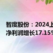 智度股份:2024上半年净利润增长17.15%