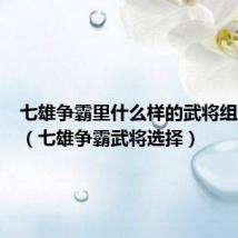 七雄争霸里什么样的武将组合最好(七雄争霸武将选择)