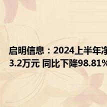 启明信息：2024上半年净利润53.2万元 同比下降98.81%
