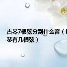 古琴7根弦分别什么音(唐朝古琴有几根弦)