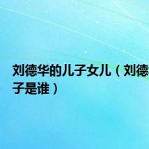 刘德华的儿子女儿(刘德华的儿子是谁)