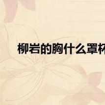 柳岩的胸什么罩杯