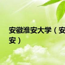 安徽淮安大学（安徽淮安）