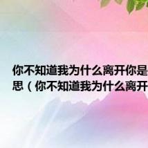 你不知道我为什么离开你是什么意思(你不知道我为什么离开你)