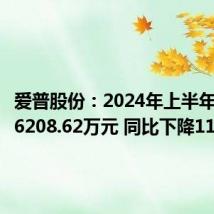 爱普股份:2024年上半年净利润6208.62万元 同比下降11.82%