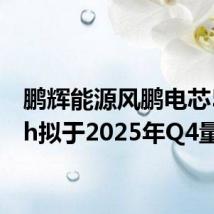鹏辉能源风鹏电芯590Ah拟于2025年Q4量产