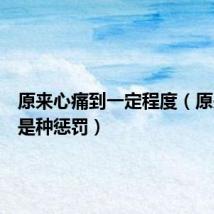 原来心痛到一定程度(原来心疼是种惩罚)