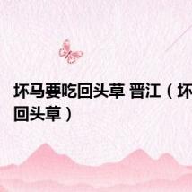 坏马要吃回头草 晋江(坏马要吃回头草)