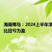 海南椰岛:2024上半年净利润同比扭亏为盈