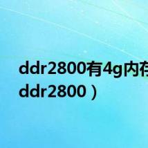 ddr2800有4g内存吗(ddr2800)