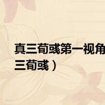 真三荀彧第一视角（真三荀彧）