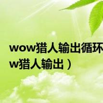 wow猎人输出循环(wow猎人输出)